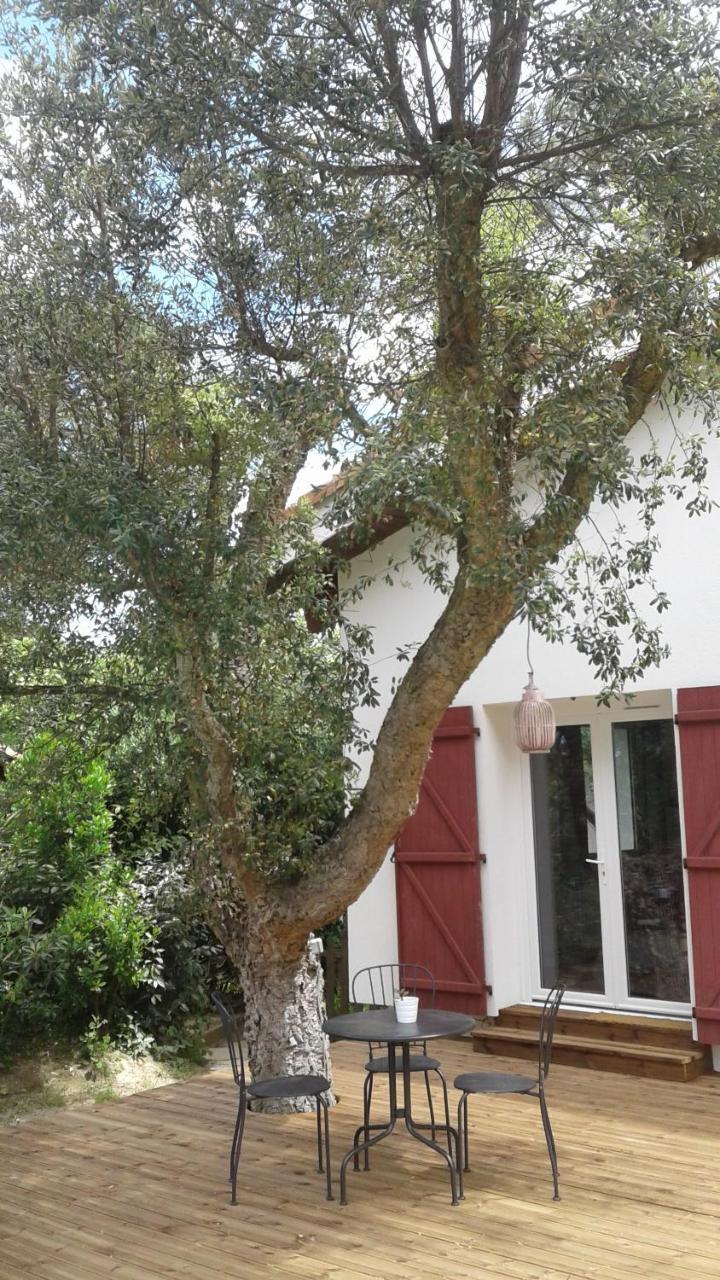 Maysoe Chambres D'Hotes Vieux-Boucau-les-Bains Exterior foto